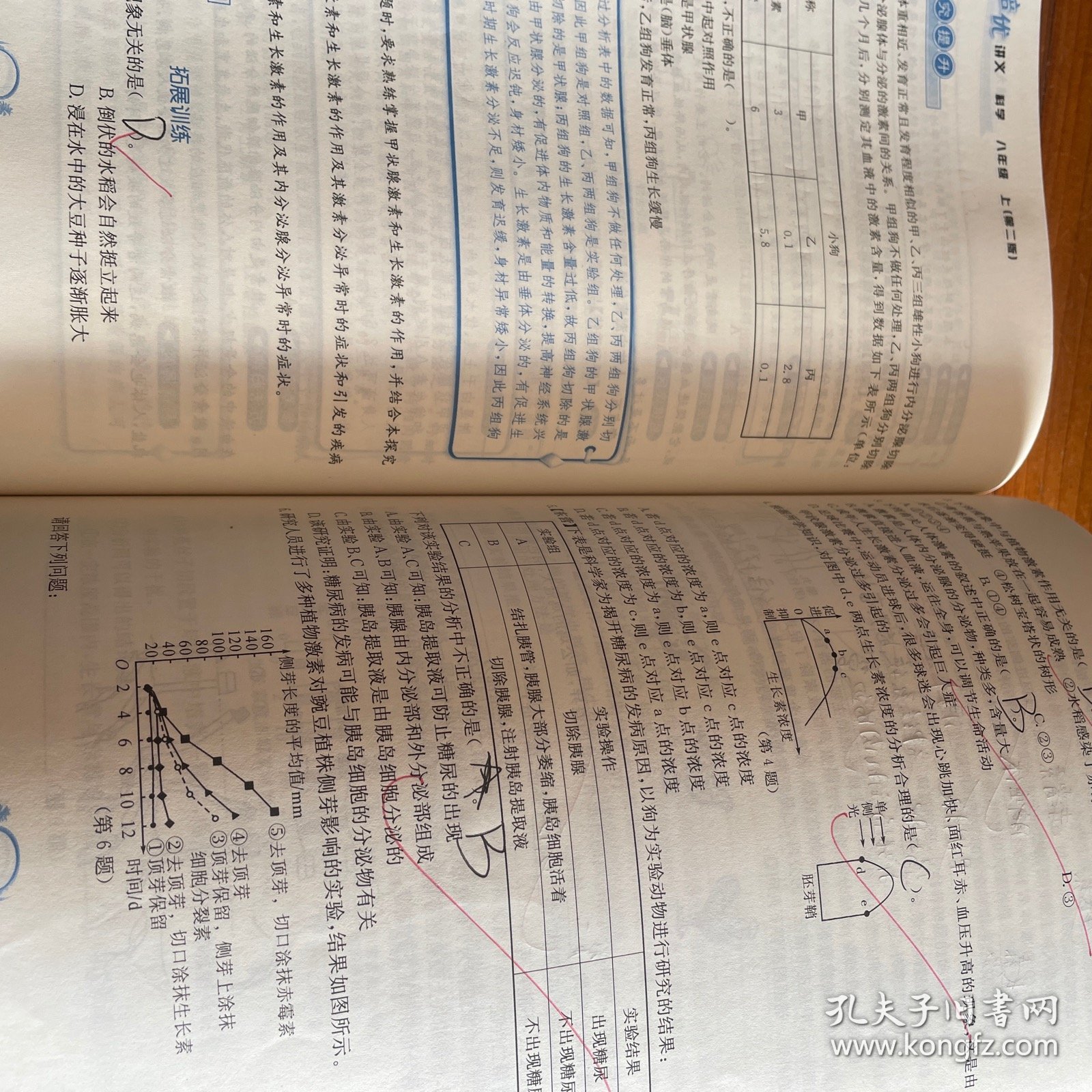 走进重高培优讲义：科学（八年级上使用浙教版教材的师生适用双色第2版）