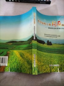 希望田野上的绚丽画卷 : 湖南推进农业现代化的回 顾与展望