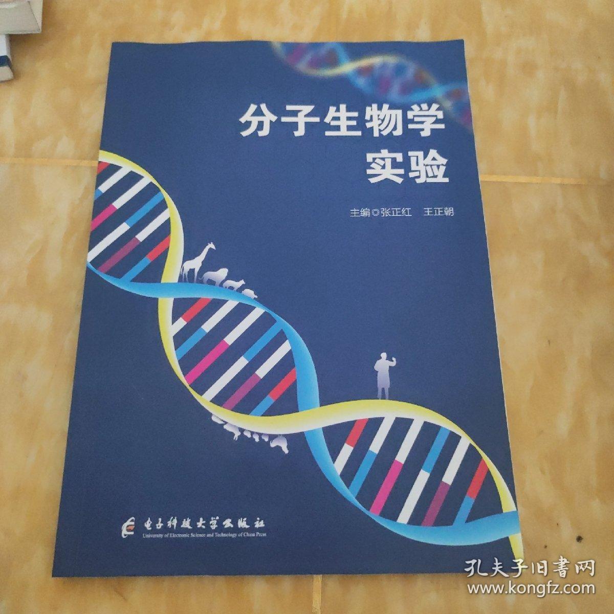 分子生物学实验