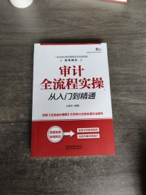 审计全流程实操从入门到精通