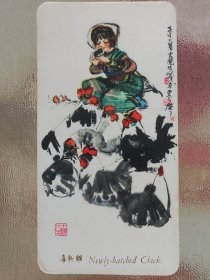 1974年历片：《喜新雏》