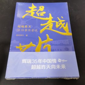 超越药片——35位亲历者说