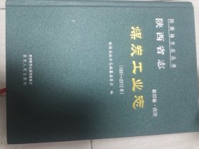 陕西省志·煤炭工业志(1991-2012)第四卷·经济