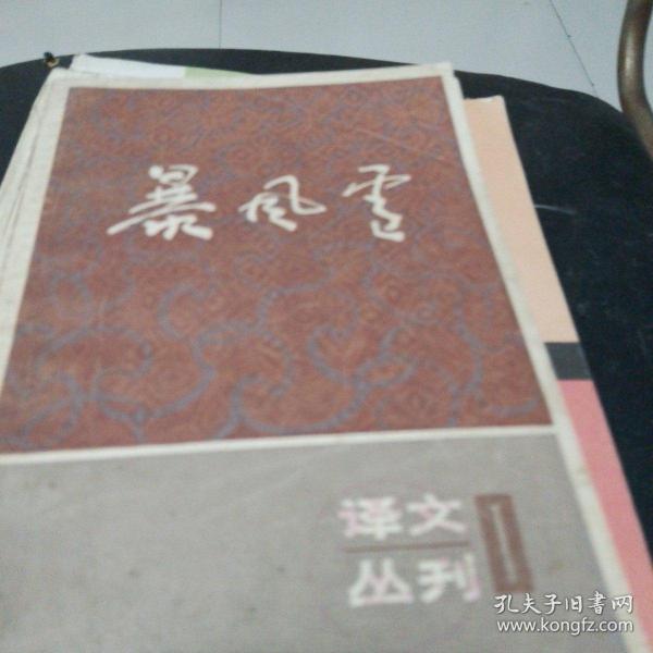 暴风雪：译文丛刊（第一辑）