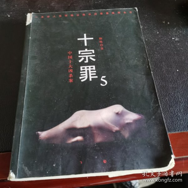 十宗罪5：中国十大凶杀案