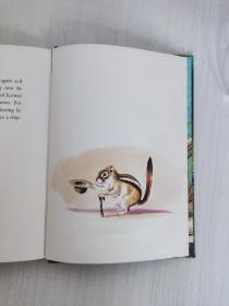 Chipmunk Willie By Harry Baerg illustrations by the Author 1958年 英文原版精装 彩色插图