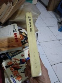 杜国痒文集