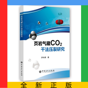 頁巖氣藏CO2干法壓裂研究