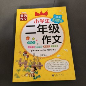 小学生二年级作文