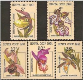 苏联邮票 1991年 花卉系列 珍稀兰花 5全新