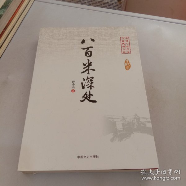 八百米深处（中国专业作家小说典藏文库）