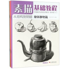 素描基础教程(从结构到明暗共4册) 9787551424042