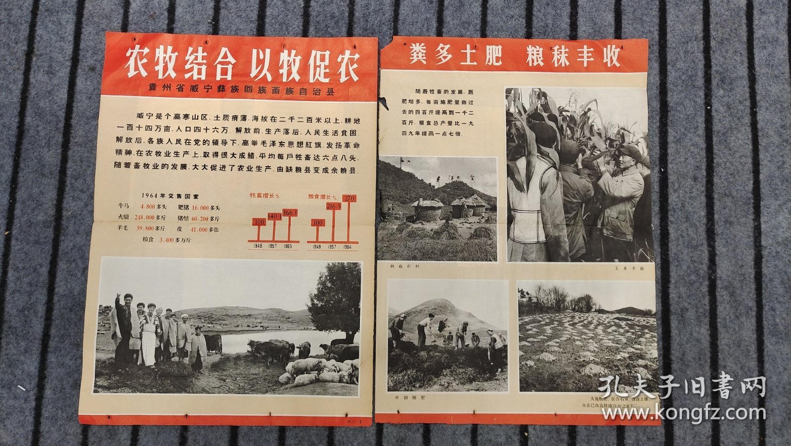 农业靠大寨精神-全国大寨式农业典型展览挂图2张-农牧结合 以牧促农 贵州省威宁县