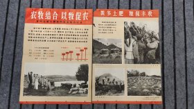 农业靠大寨精神-全国大寨式农业典型展览挂图2张-农牧结合 以牧促农 贵州省威宁县