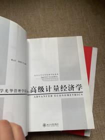 高级计量经济学（上下）/北京大学光华管理学院教材