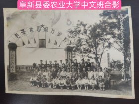 阜新县委农业大学中文班合影1970年6月20日