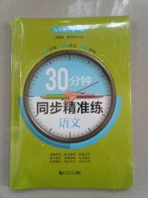 30分钟同步精准练九年级语文（全一册）