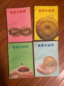 数学大世界 全4册合售