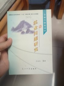 全面小康建设中的就业问题研究