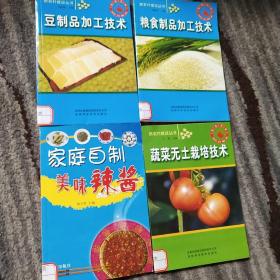 豆制品加工技术 粮食制品加工技术 家庭自制辣酱 蔬菜无土栽培技术 （共4本合售）