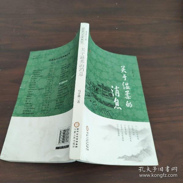 回族当代文学典藏丛书 杨宏峰作品：关于温柔的消息