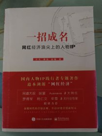 一招成名：网红经济浪尖上的人物IP