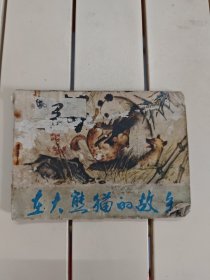 在大熊猫的故乡