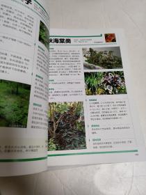 植物造景丛书——行道植物景观、阴地植物景观、地被植物景观、芳香植物景观、 绿篱植物景观、水体植物景观(六册合售)