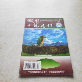 微型小说选刊 1999 17