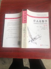 什么是数学：对思想和方法的基本研究