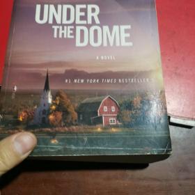 Under the Dome穹顶之下 英文原版