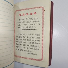 六十年代日记本 插图漂亮 记录1967年日记 一本大概写了三分之一 内容丰富 外加准考证1965准考证一张