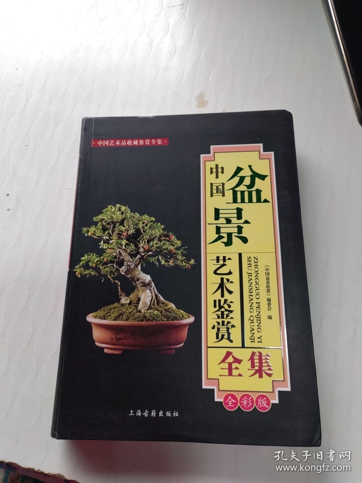 中国盆景艺术鉴赏全集