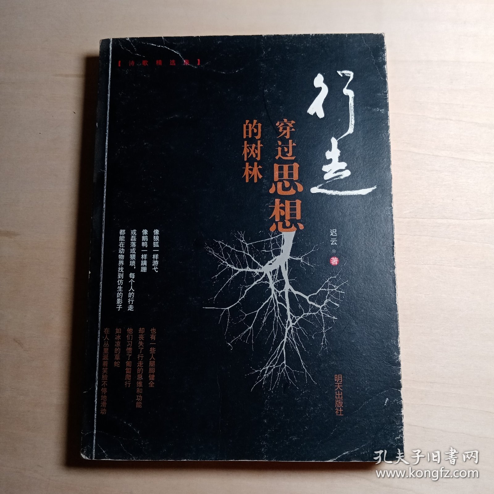 行走——穿过思想的树林