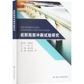 正版 桩群局部冲刷试验研究 侯志军 等 黄河水利出版社