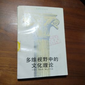 多维视野中的文化理论