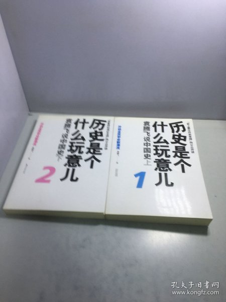 历史是个什么玩意儿2：袁腾飞说中国史下