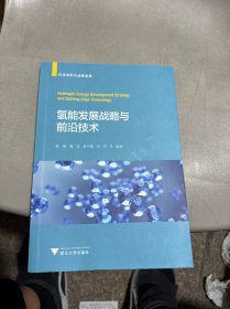 氢能发展战略与前沿技术