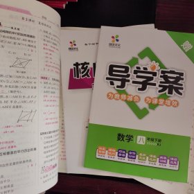 课堂点睛数学八年级下册教师用书