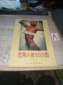 《艺用人体500图》裸体人体摄影人体艺术，纸张厚，16开162页