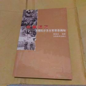 血雾迷茫：滇缅抗日及日军罪恶揭秘/中国远征军滇西大战系列丛书