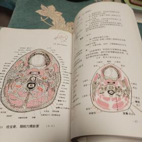 经穴断面解剖图解 头颈、胸部  下肢部分 （2本合售）