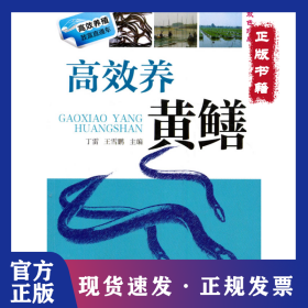 高效养黄鳝