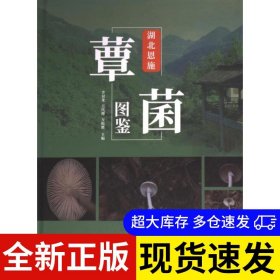 湖北恩施覃菌圖鑒 李雙龍，吳代坤，萬松勝 9787567430648 武漢咿朵文化傳播有限公司 2023-07-01 普通圖書/自然科學