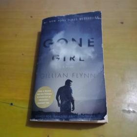 Gone Girl：A Novel