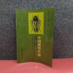 中国横脊叶蝉:同翅目:叶蝉科