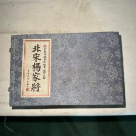 北宋杨家将（共4册）