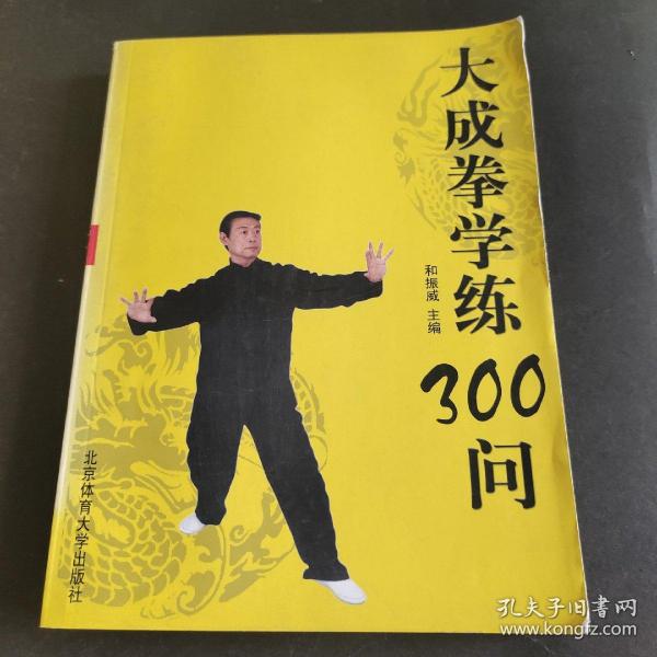 大成拳学练300问