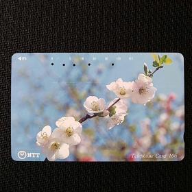 日本田村电话卡22～樱花