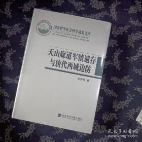 天山廊道军镇遗存与唐代西域边防